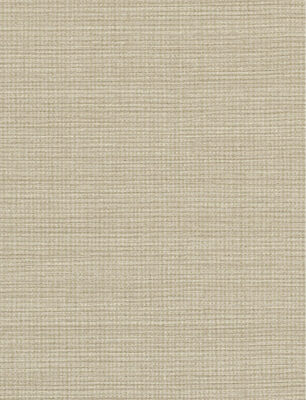 Papel Tapiz Contract II 1052