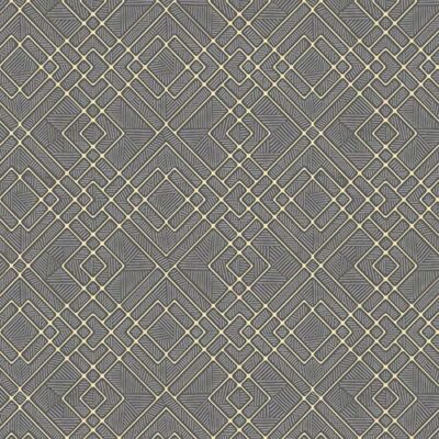 Papel Tapiz Shiny DA68309